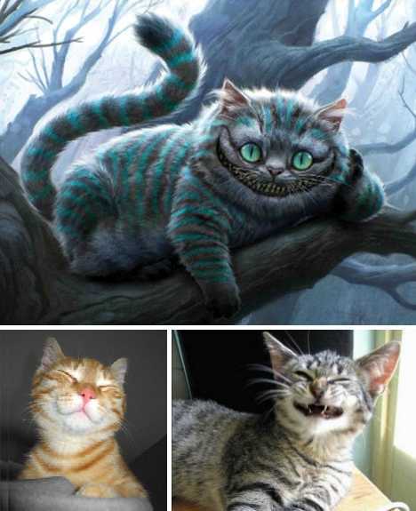 ‘xingkong体育官网登录’吉尔晒视频球迷想起他,泰山队史首个4号中卫,足协杯夺冠功勋(图2) ‘xingkong体育官网登录’吉尔晒视频球迷想起他,泰山队史首个4号中卫,足协杯夺冠功勋(图2)