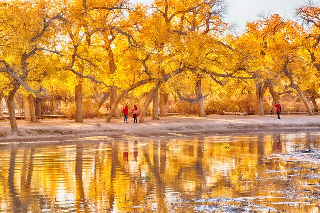 
法乙第 14轮 敦刻尔克2：xingkong体育官网登录(图2)