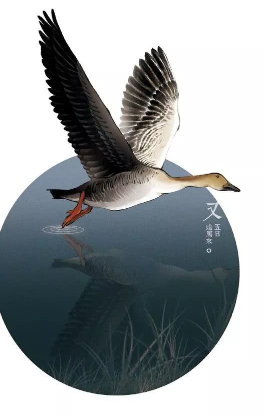 巴坎布即将复出!帮助国安队调整积极状态【星空体育官网】(图1) 巴坎布即将复出!帮助国安队调整积极状态【星空体育官网】(图1)