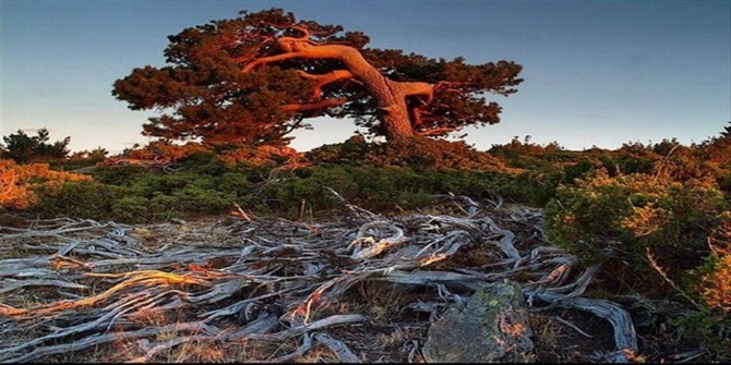 中甲第二阶段第3轮综述——争夺中猛烈审慎相互交织‘星空官网登录’(图2) 星空体育官网