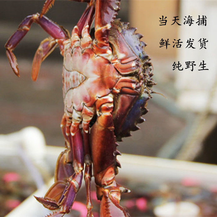 【xingkong体育官网登录】郑州外国语航空港区新校区校址公示用地面积8万多平方米(图3) 星空官网登录