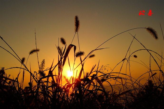 xingkong体育官网登录-崇明区开展市场监管领域消防安全检查(图1) 星空体育官网