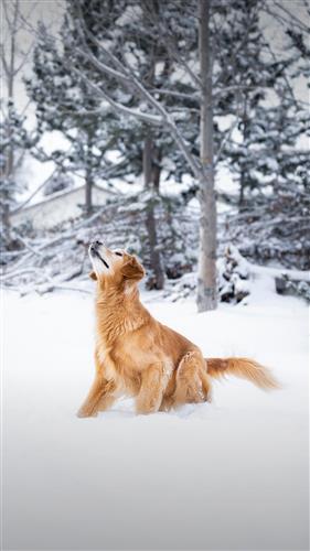 【xingkong体育官网登录】郑州将大力增加公办幼儿园及普惠性民办幼儿园学位(图4) xingkong体育官网登录
