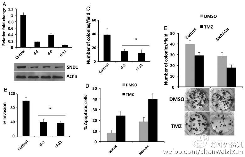 【xingkong体育官网登录】郑州将大力增加公办幼儿园及普惠性民办幼儿园学位(图1) xingkong体育官网登录