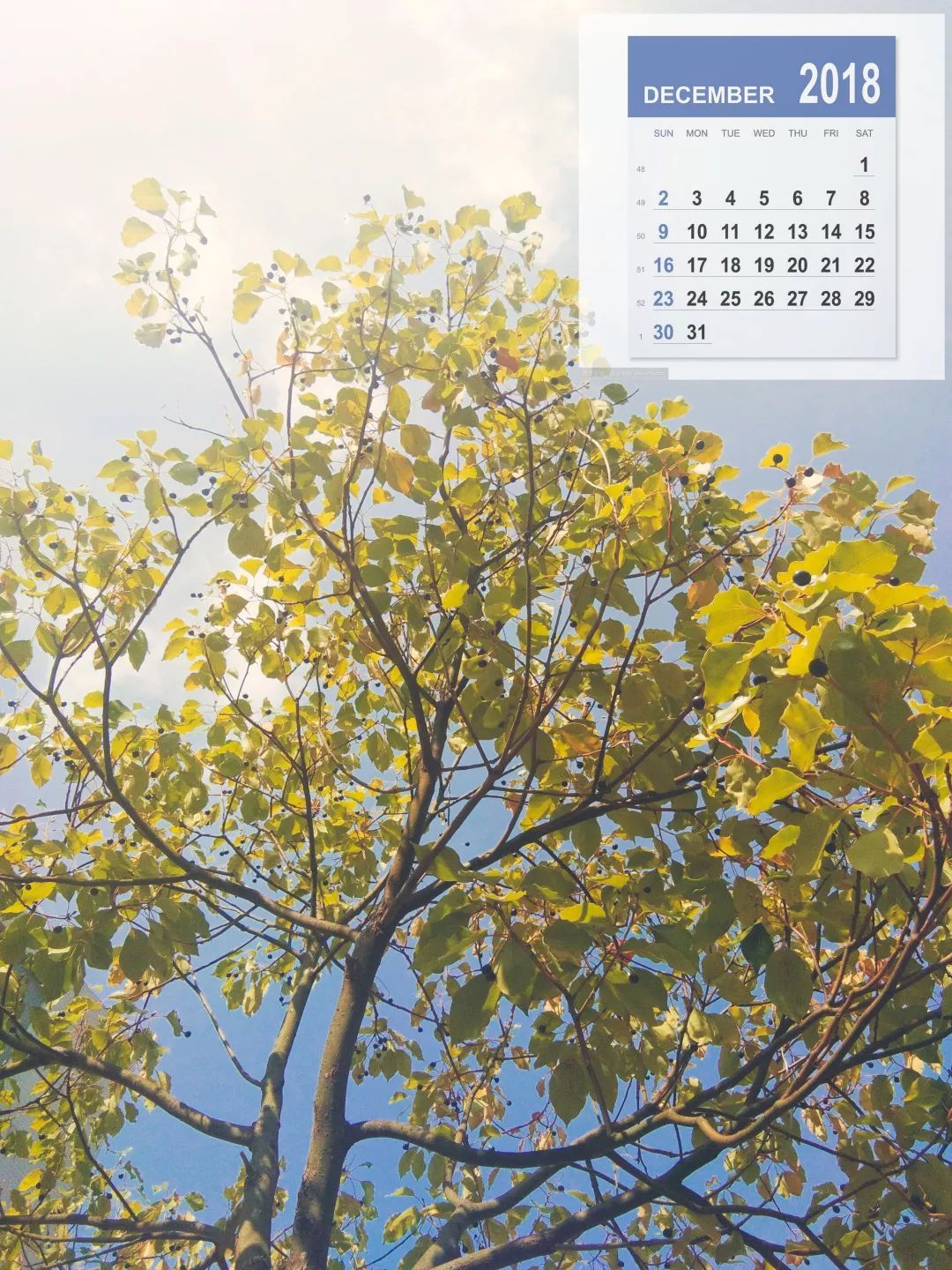 0比0战平四川优必选 雪豹拿下赛季首分‘星空官网登录’(图12) 星空官网登录