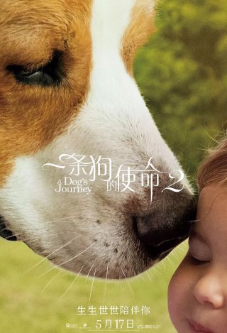 xingkong体育官网登录