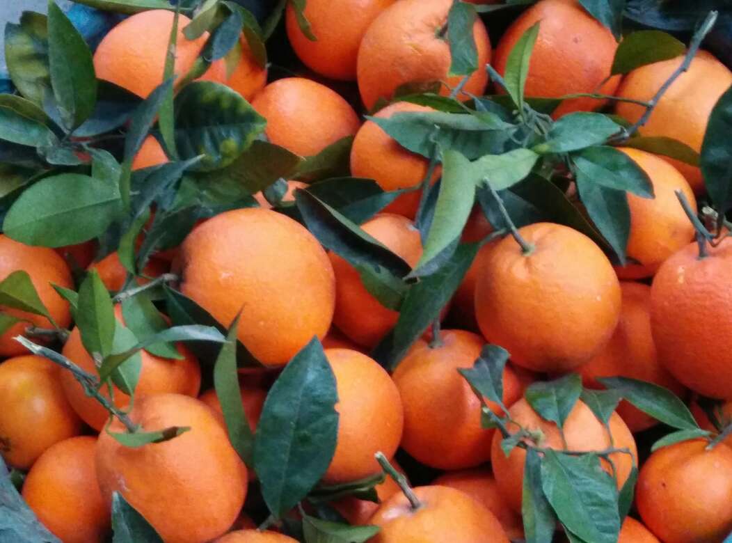 张玉宁:奥预赛会全力以赴,对手实力强但也不会小看自己_星空官网登录(图2) 张玉宁:奥预赛会全力以赴,对手实力强但也不会小看自己_星空官网登录(图2)