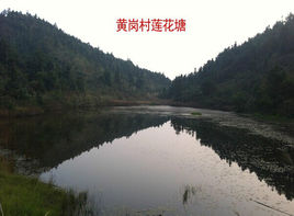 张玉宁:奥预赛会全力以赴,对手实力强但也不会小看自己_星空官网登录(图1) xingkong体育官网登录