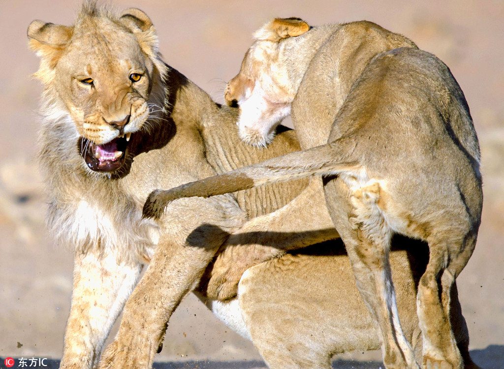 xingkong体育官网登录