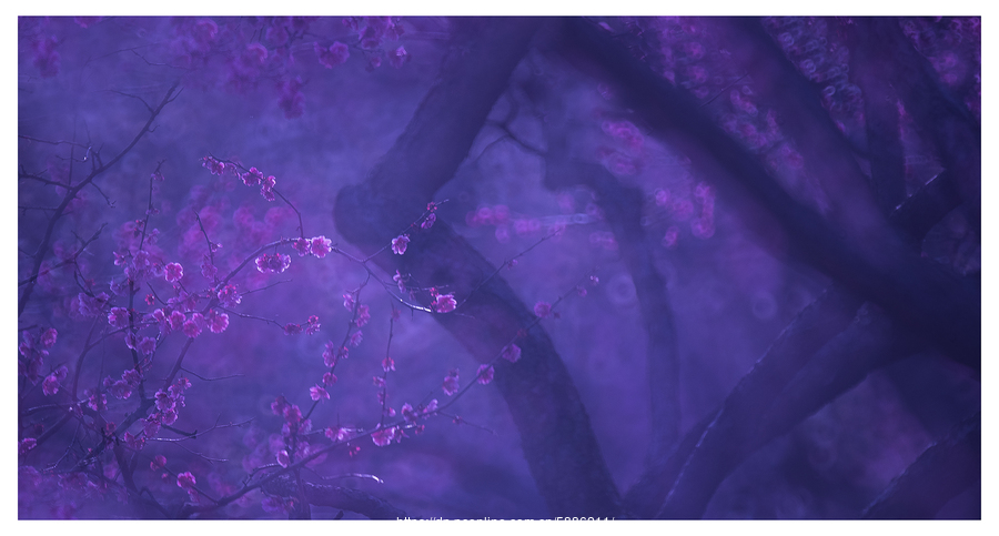 xingkong体育官网登录