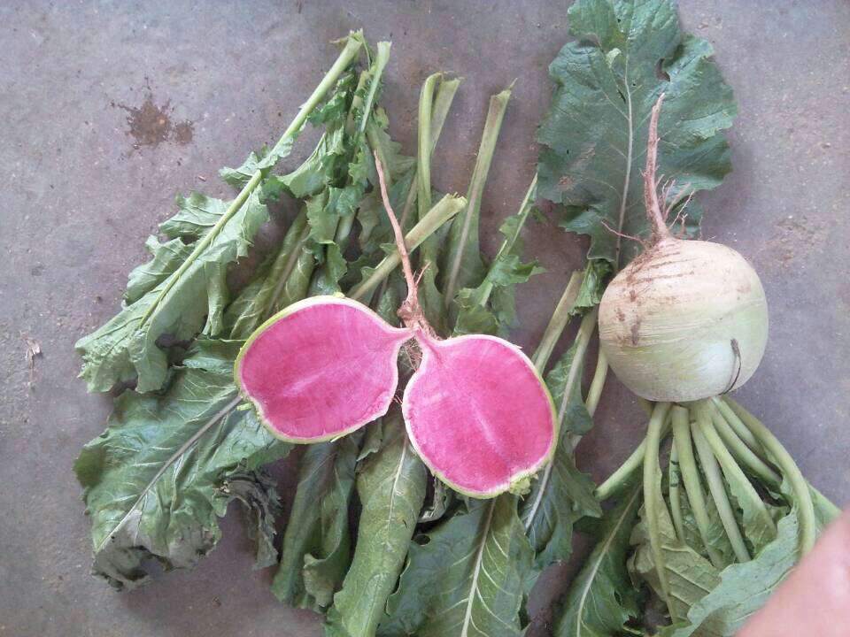 儿童手足口病进入高发期注重预防是关键“xingkong体育官网登录”(图1) xingkong体育官网登录