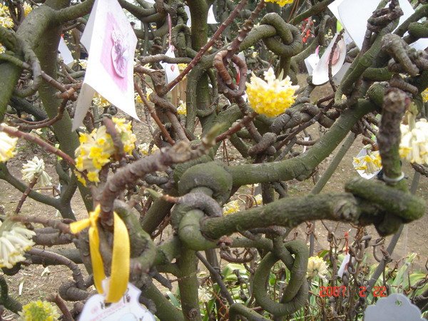 xingkong体育官网登录