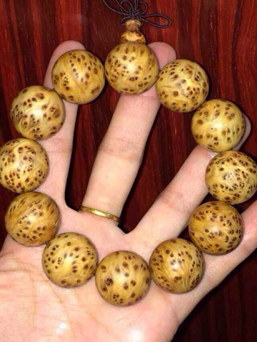 上海崇明消防扎实推进人员密集场所火灾隐患整治_xingkong.com(图1) 星空体育官网