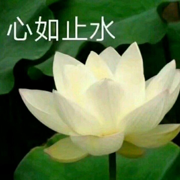 海南上百名幼师自制绘本视频线上讲故事|星空体育官网(图2) 海南上百名幼师自制绘本视频线上讲故事|星空体育官网(图2)