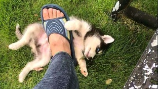 新密市召开职业教育工作推进会_星空体育官网(图2)