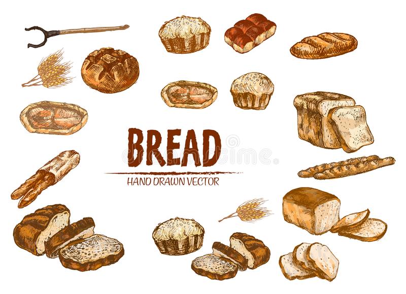 赶着签约？布拉沃出席巴萨训练_星空体育官网(图2)