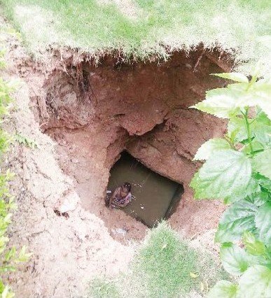 xingkong体育官网登录