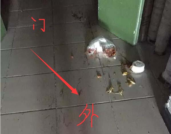 xingkong.com_龙城镇中心学校开展低年级语文“人人讲公开课”活动(图2) 星空官网登录