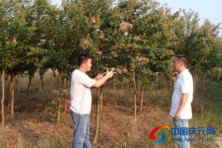 “xingkong体育官网登录”为加强新型冠状病毒感染的肺炎疫情防控工作，建业足...(图3)