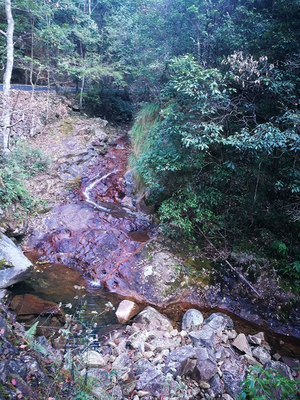 xingkong体育官网登录