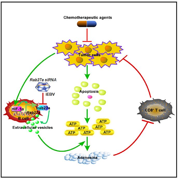 较强冷空气来袭 全国多地开启“抖抖抖”模式“星空官网登录”(图1)