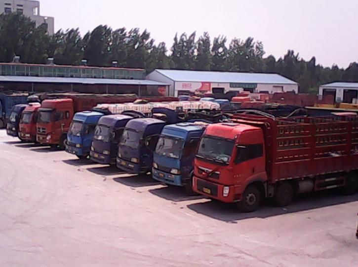 xingkong体育官网登录