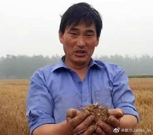 xingkong体育官网登录